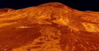 Gravity waves on Venus